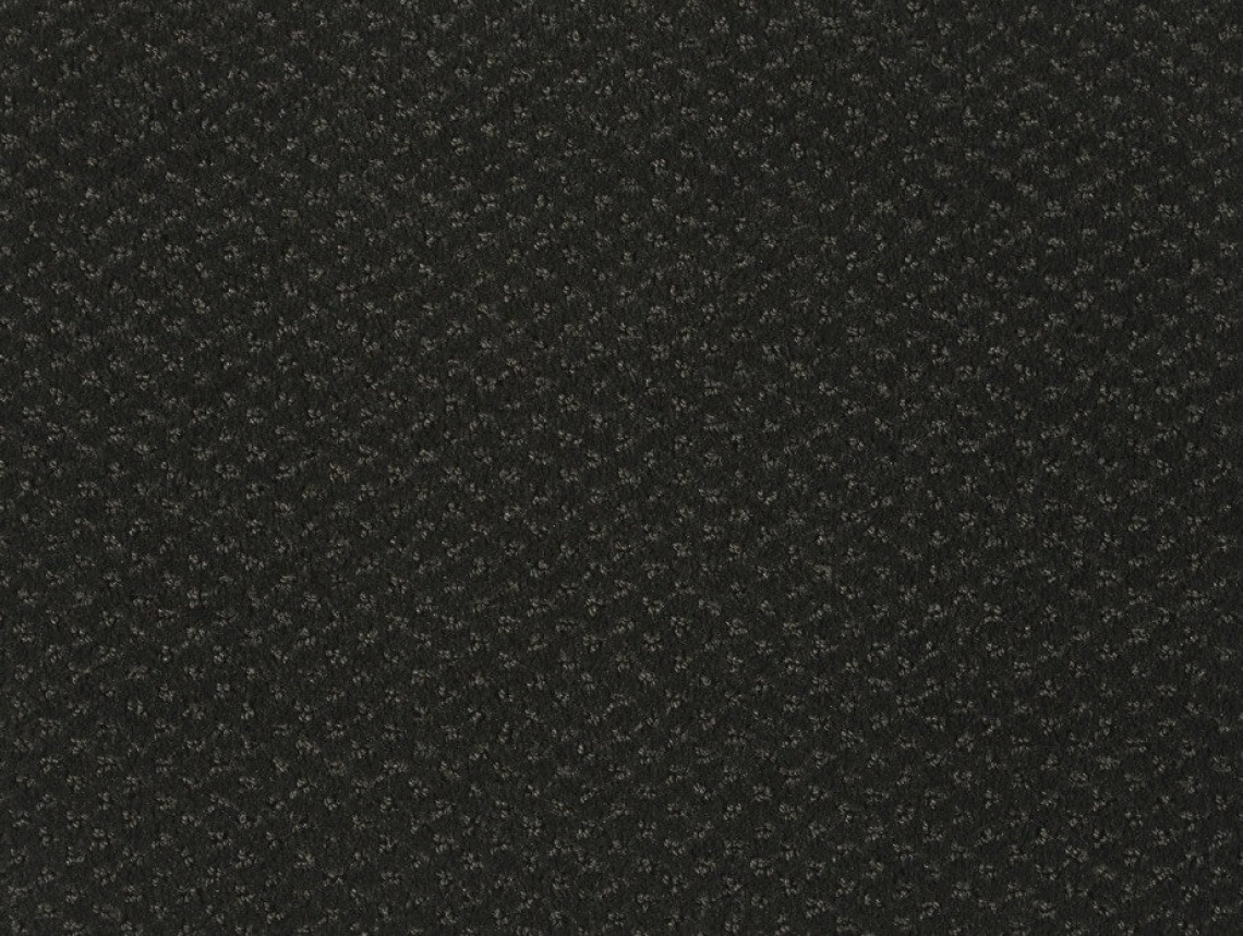 Carve Classic - 810-Astrakan
